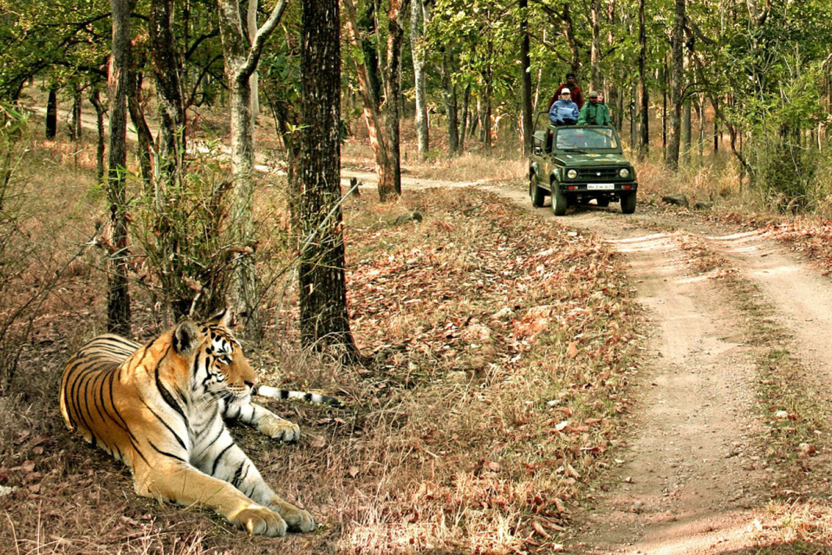 virtual tourism